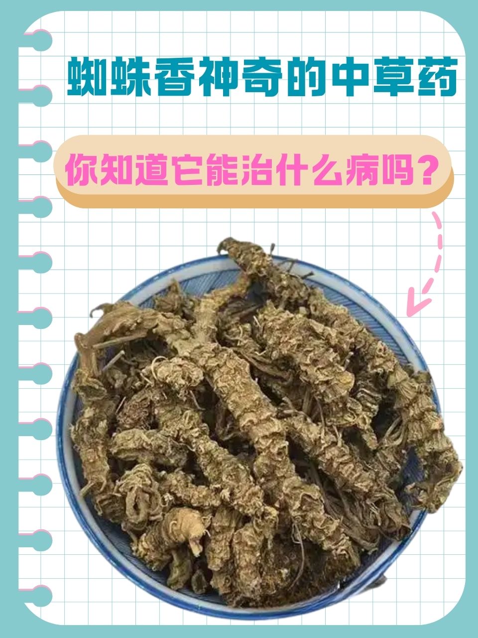 马蹄香的功效与作用及食用方法