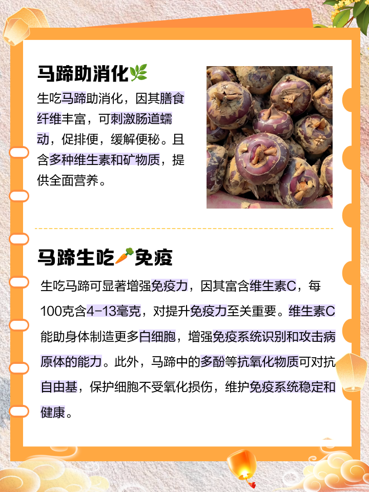 马蹄香的功效与作用及食用方法