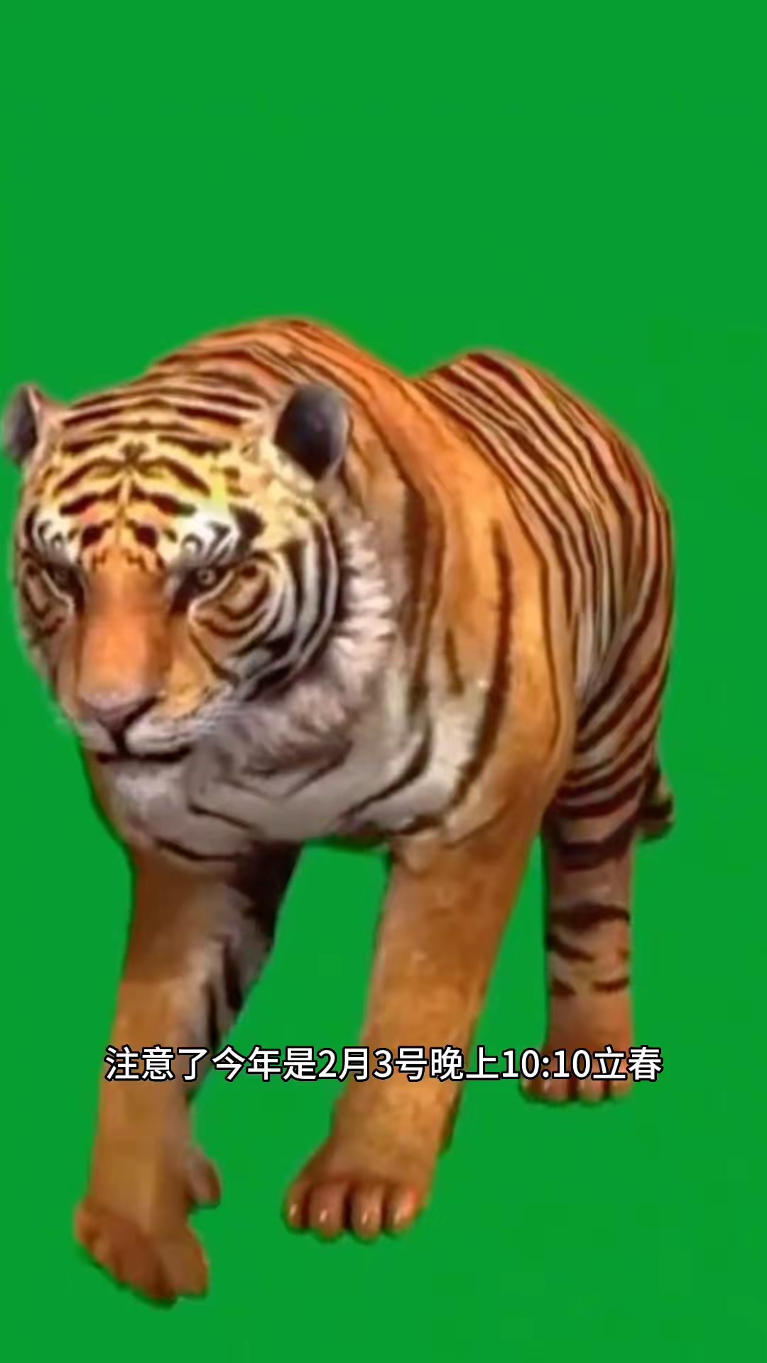 欲钱买看花的动物打一正确生肖