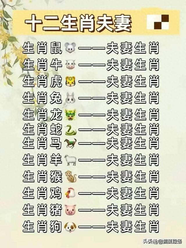 双双对对数字看是什么生肖？