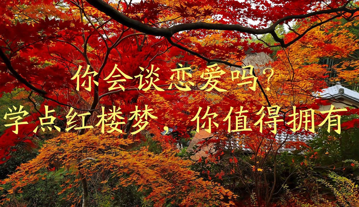 男生说77是什么意思