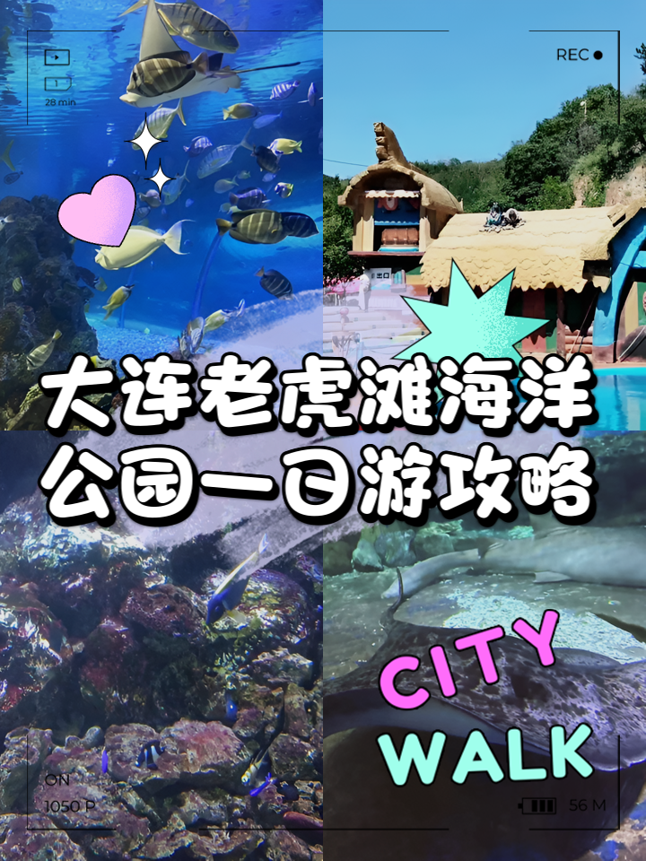大连老虎滩海洋公园攻略简述