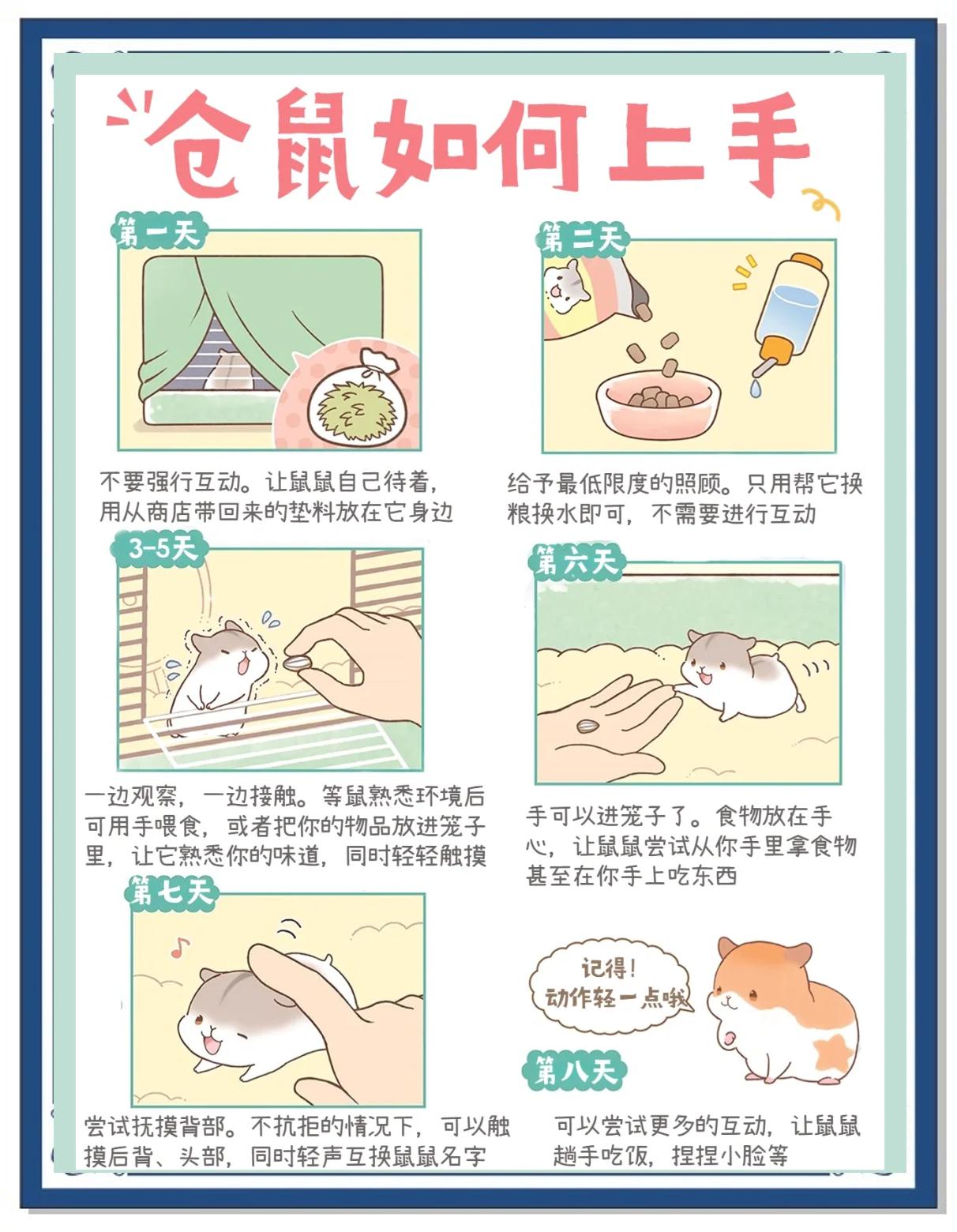 如何将几只仓鼠混在一起养