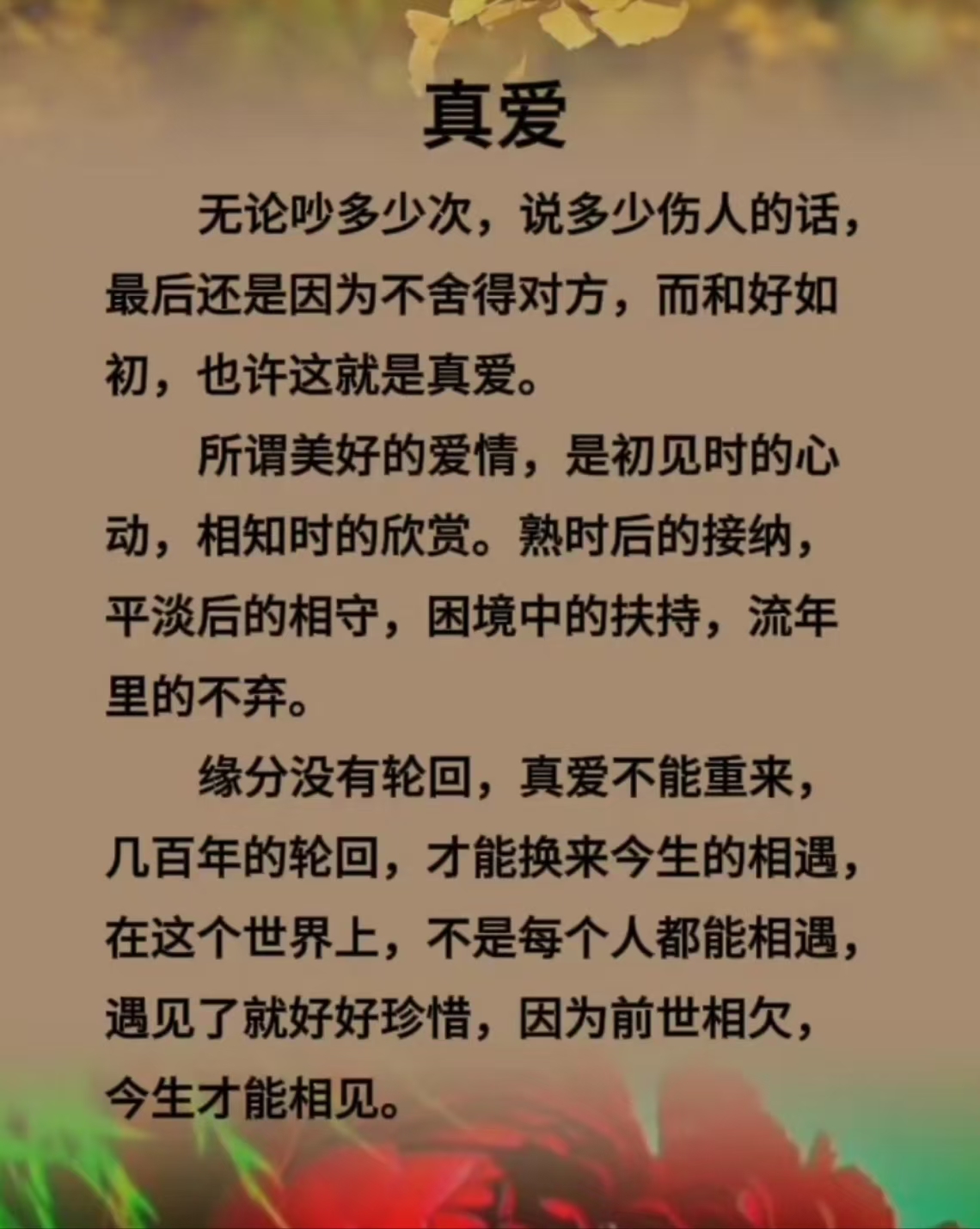 倾心相遇安暖相陪什么意思