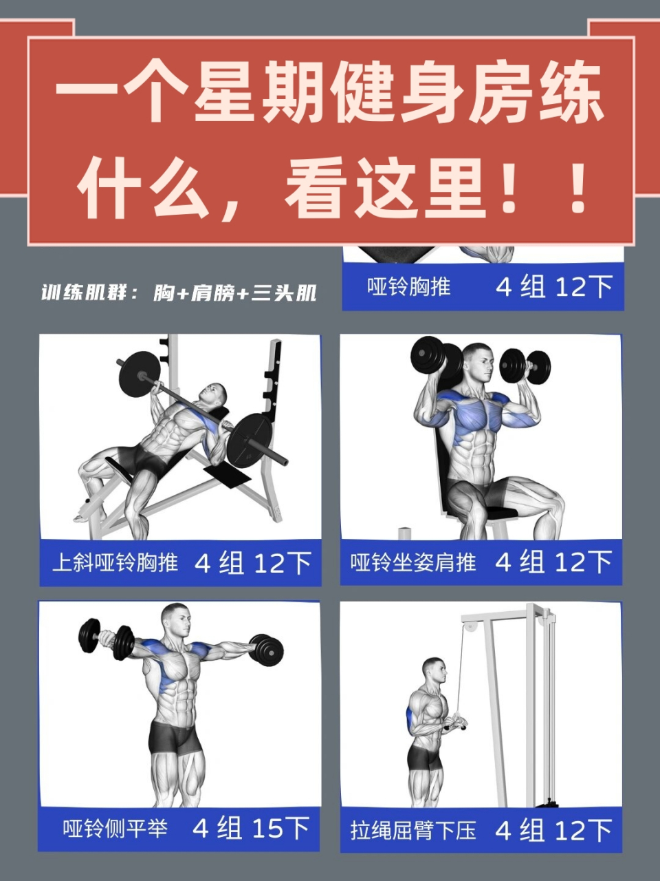 8种锻炼胸肌最快的方法详解