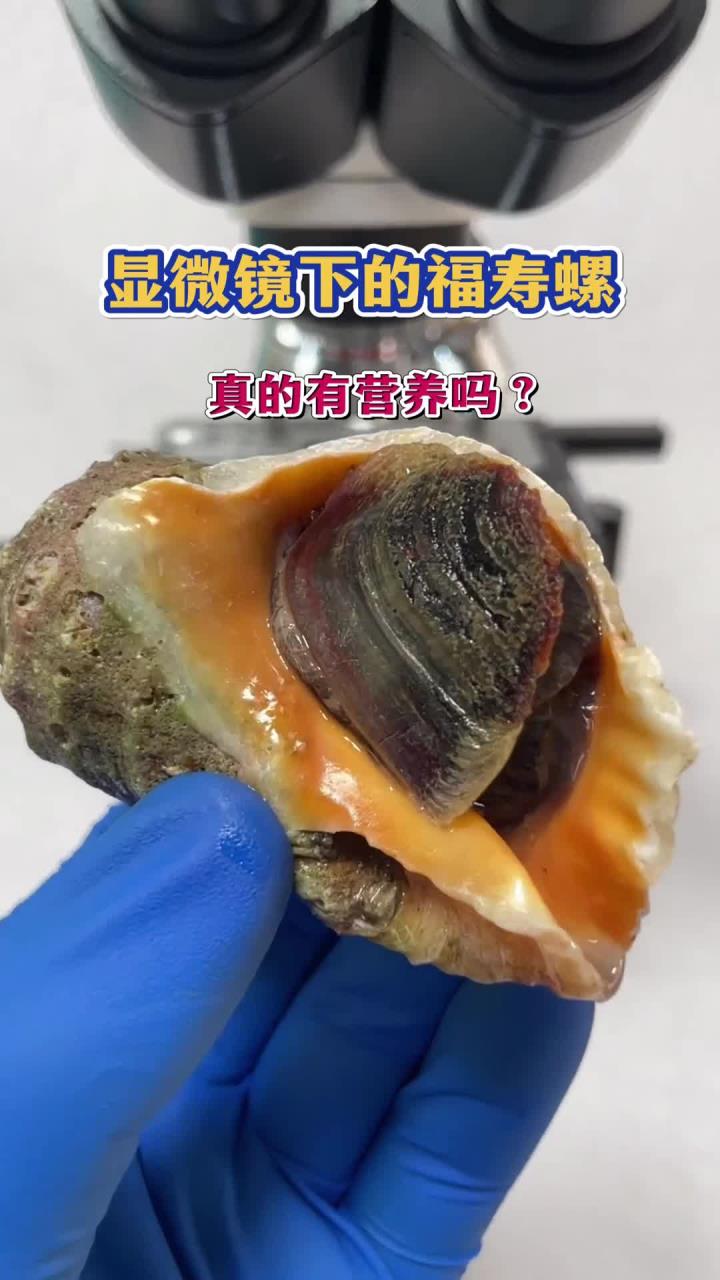福寿螺到底能不能吃有毒吗