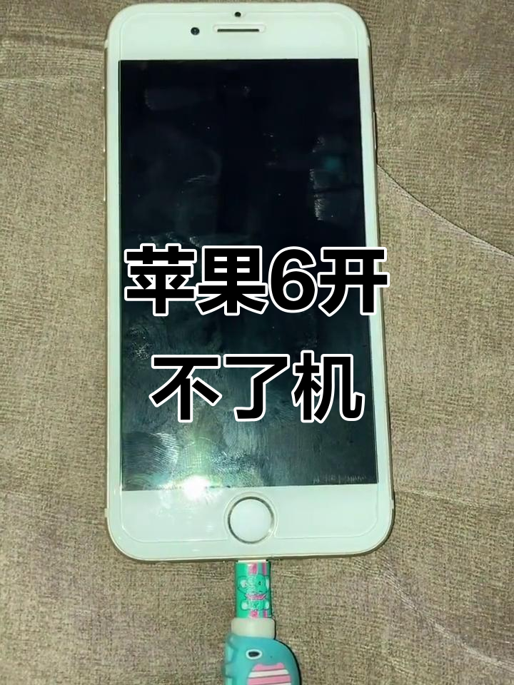 iphone无法开机如何处理