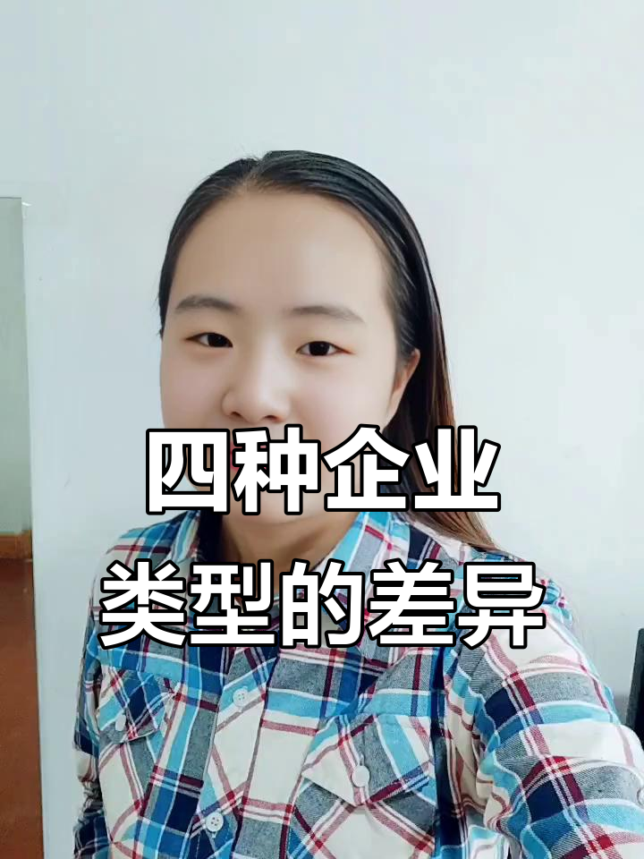 企业类型一般分为哪四种