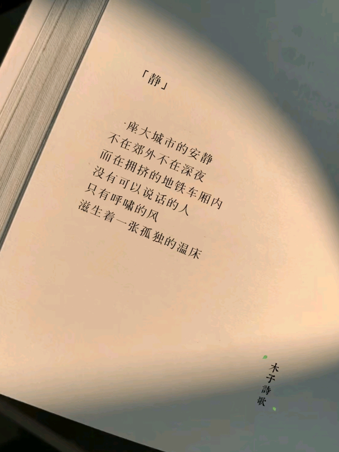 静的诗句关于静的诗句范例