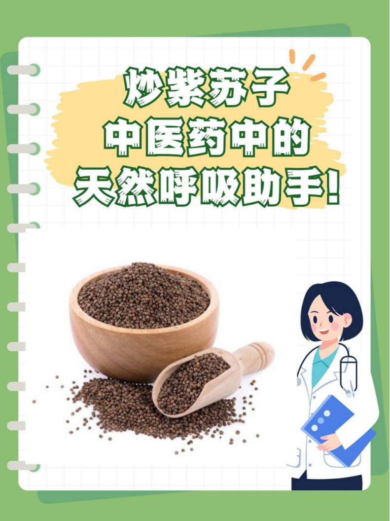 炒紫苏子的功效与作用