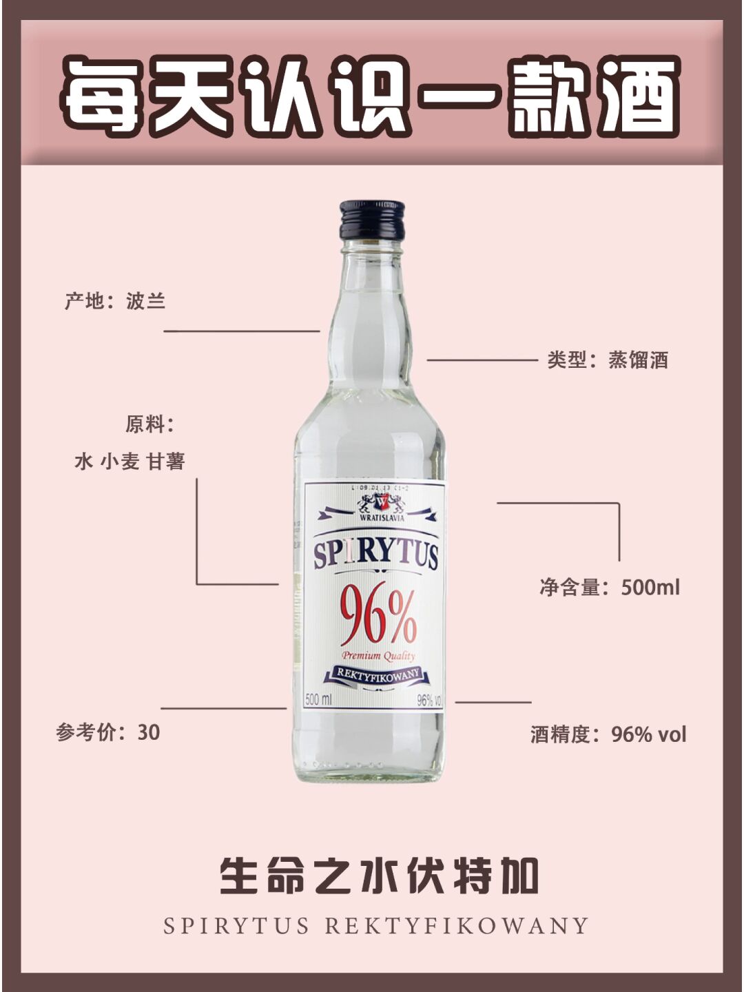 波兰伏特加96度生命之水