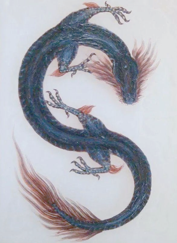 蛇变成龙的七个阶段介绍