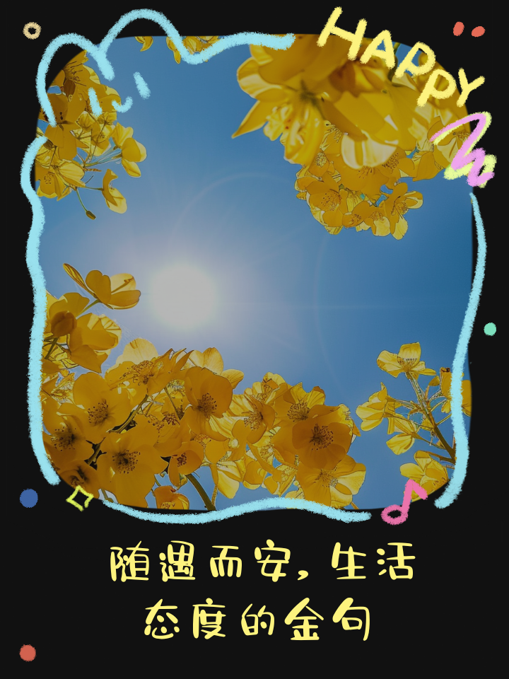 随遇而安下一句是什么及意思