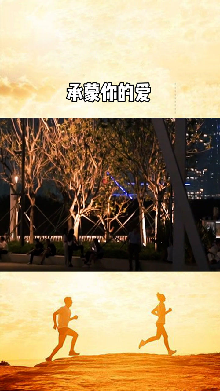 承蒙你的出现下一句怎么接