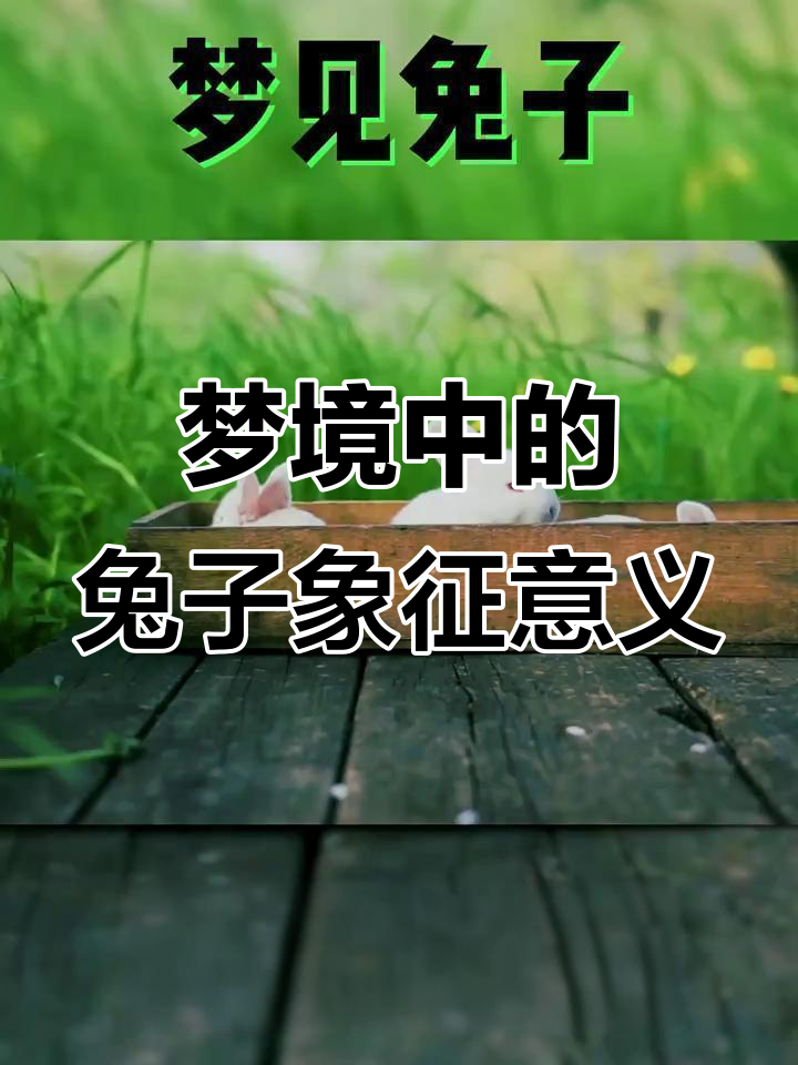 梦见逮到兔子是什么意思