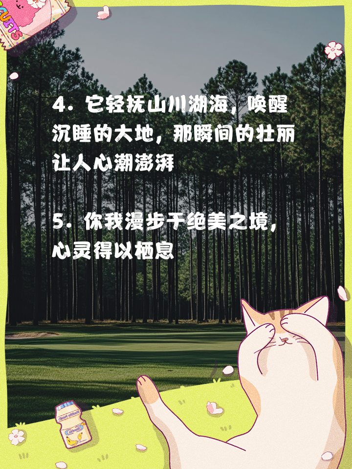 赞美别人照片风景美的话,要幽默。