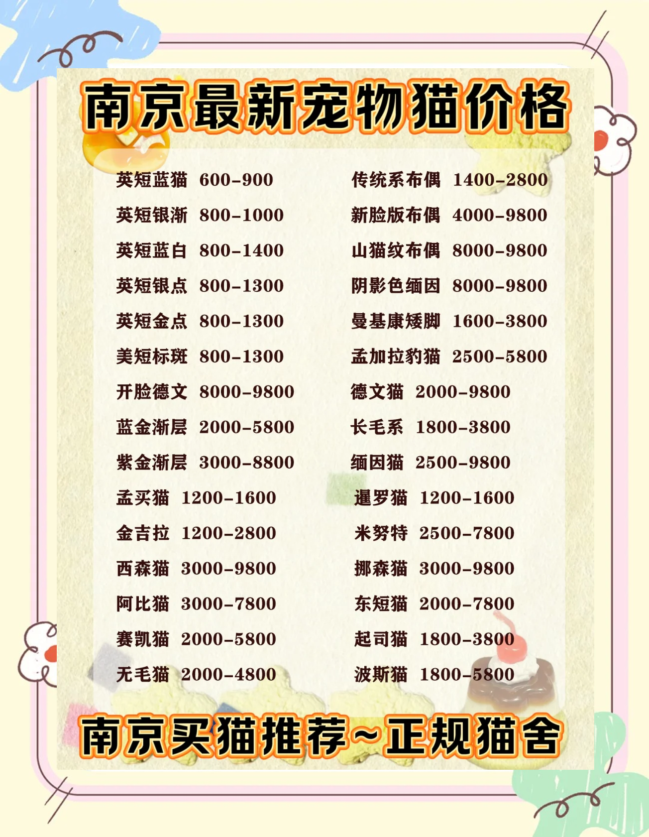 宠物猫的品种大全排行及价格