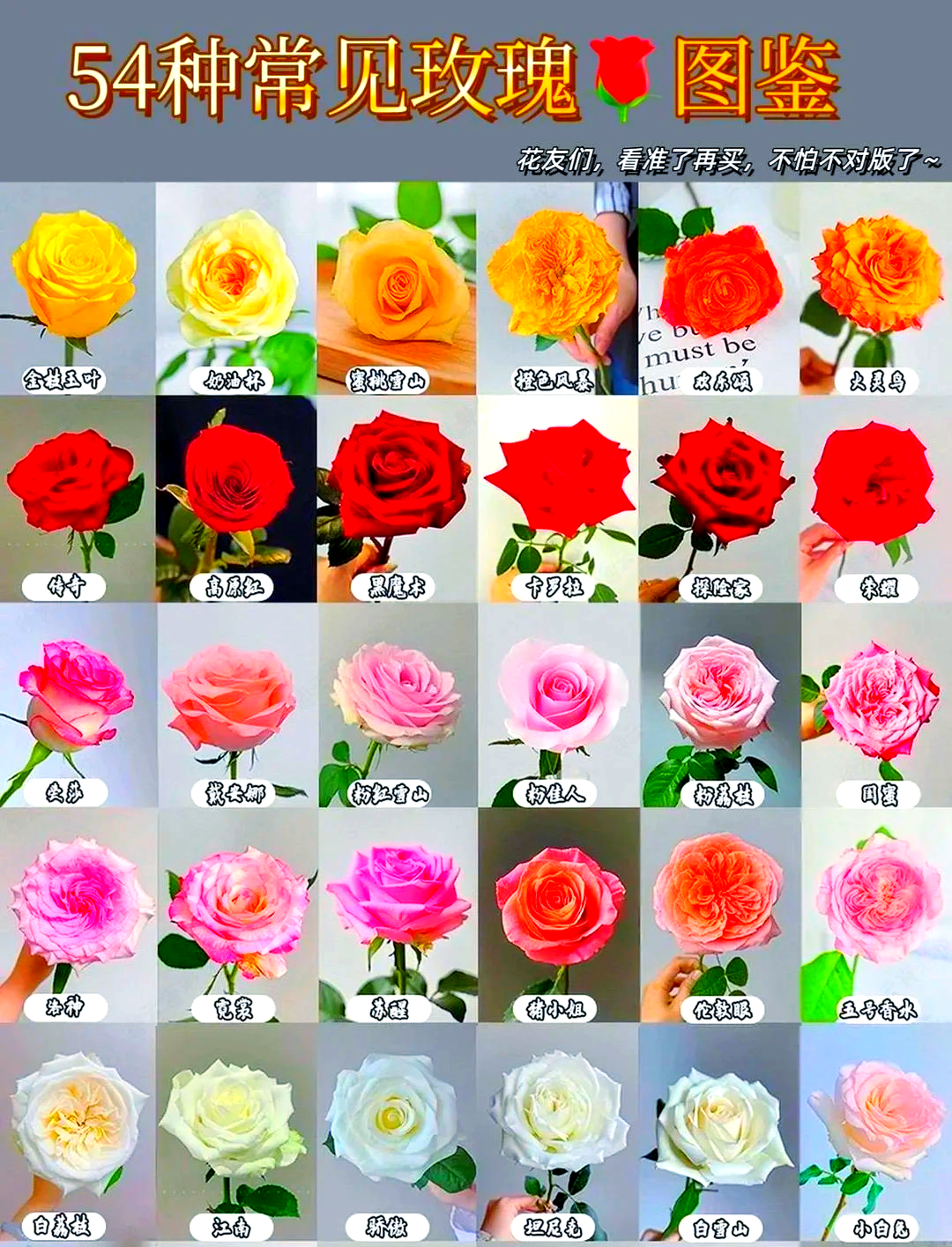 18朵玫瑰代表什么意思