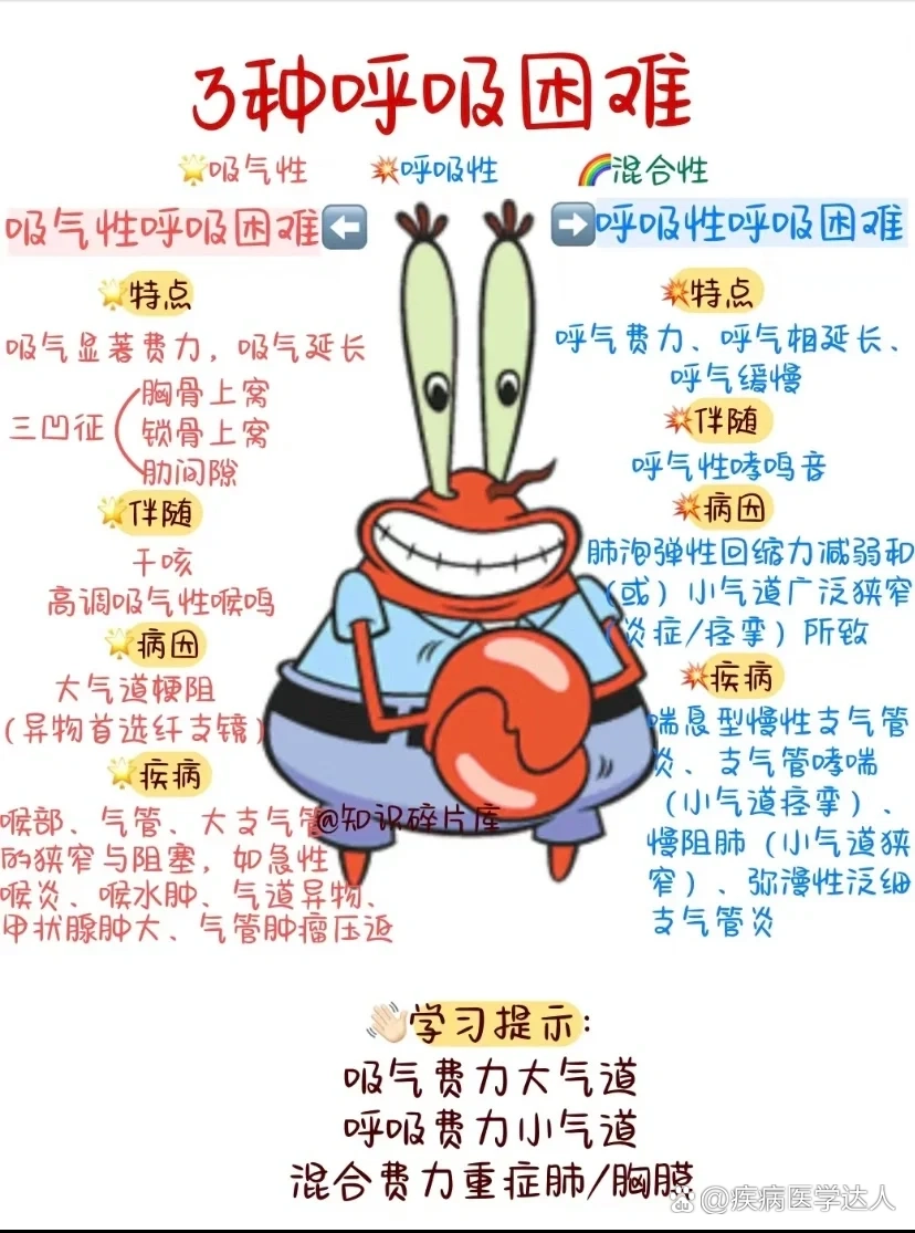 什么什么呼吸(词语)