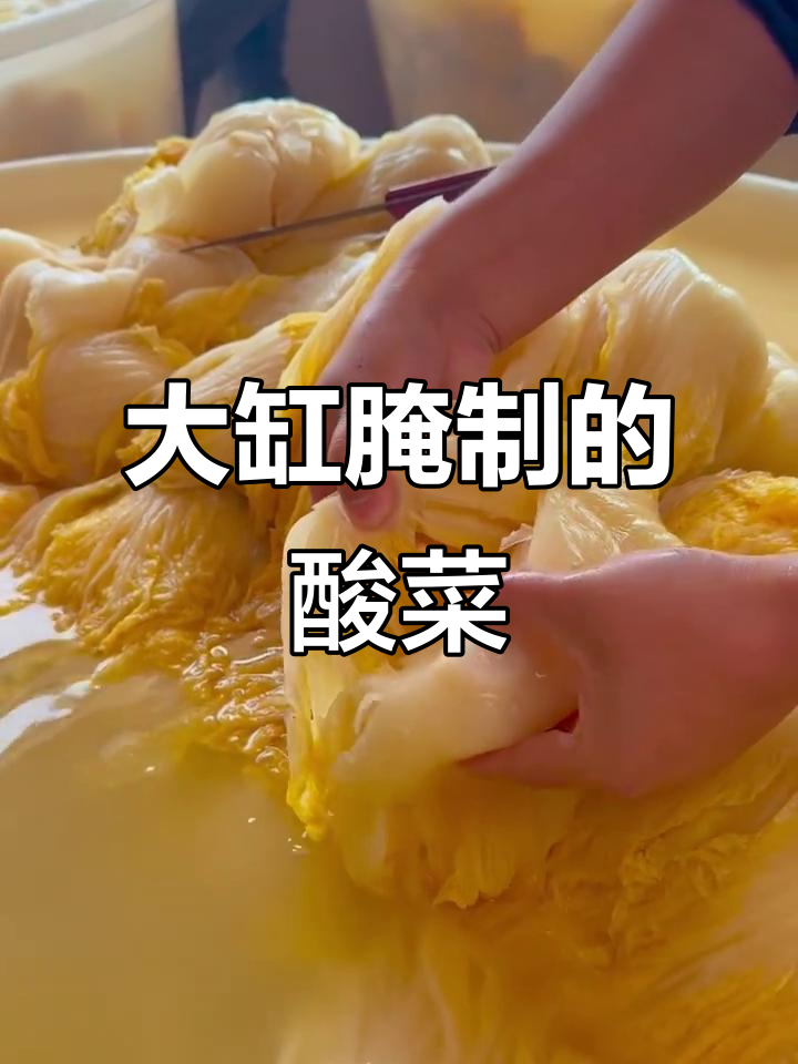 东北家庭酸白菜如何腌制