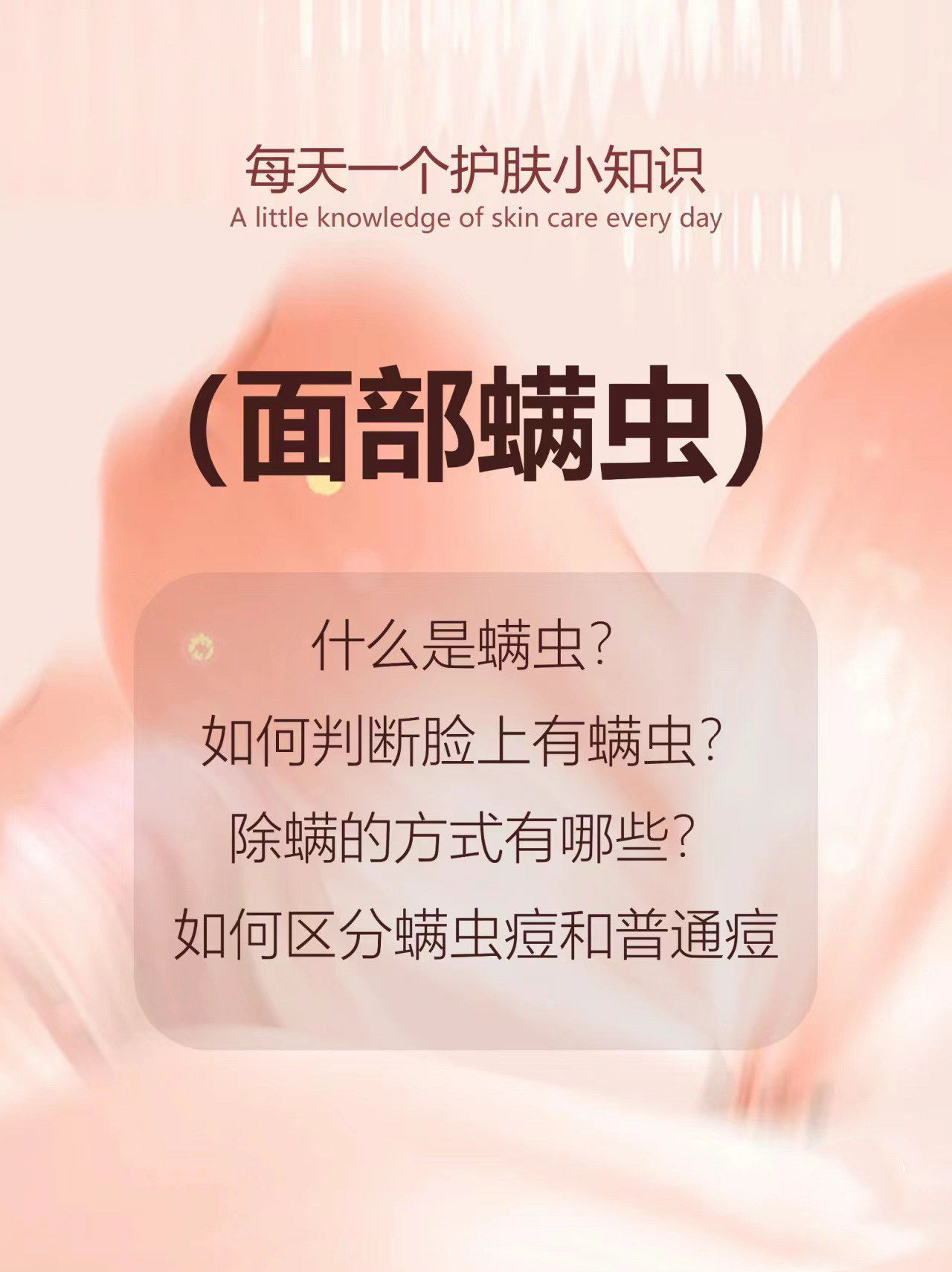 脸上有螨虫怎么去除简单方法