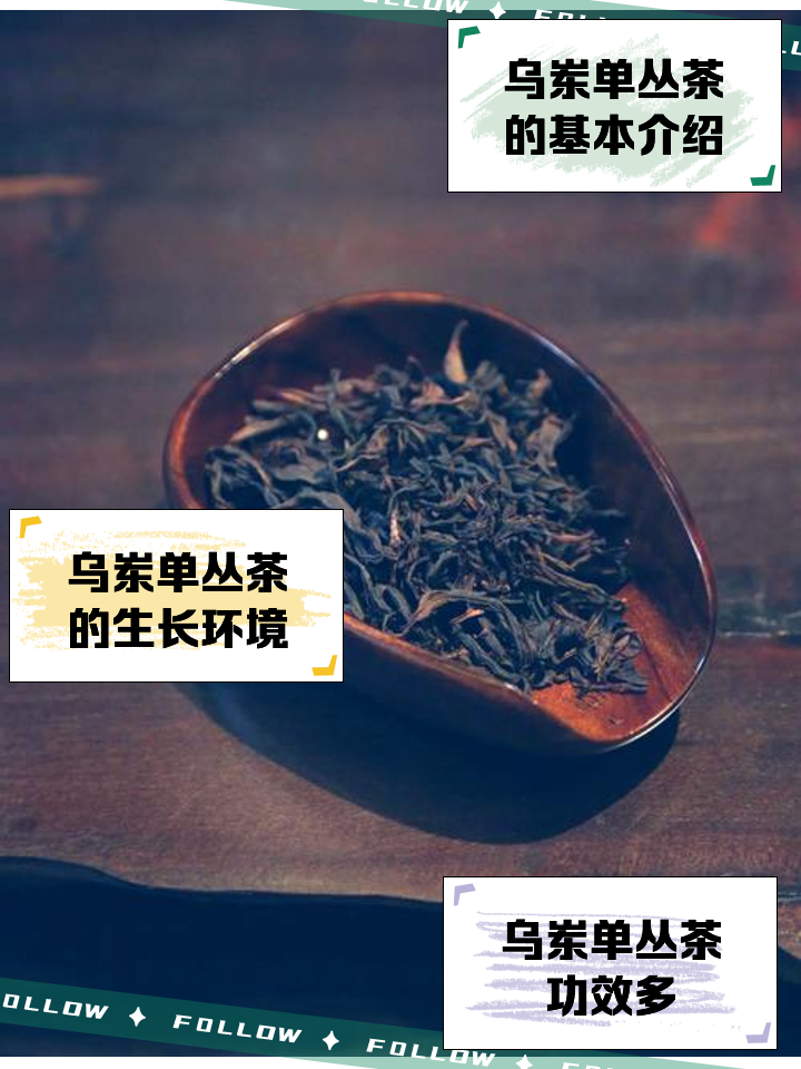 2025年11月2日 第17页