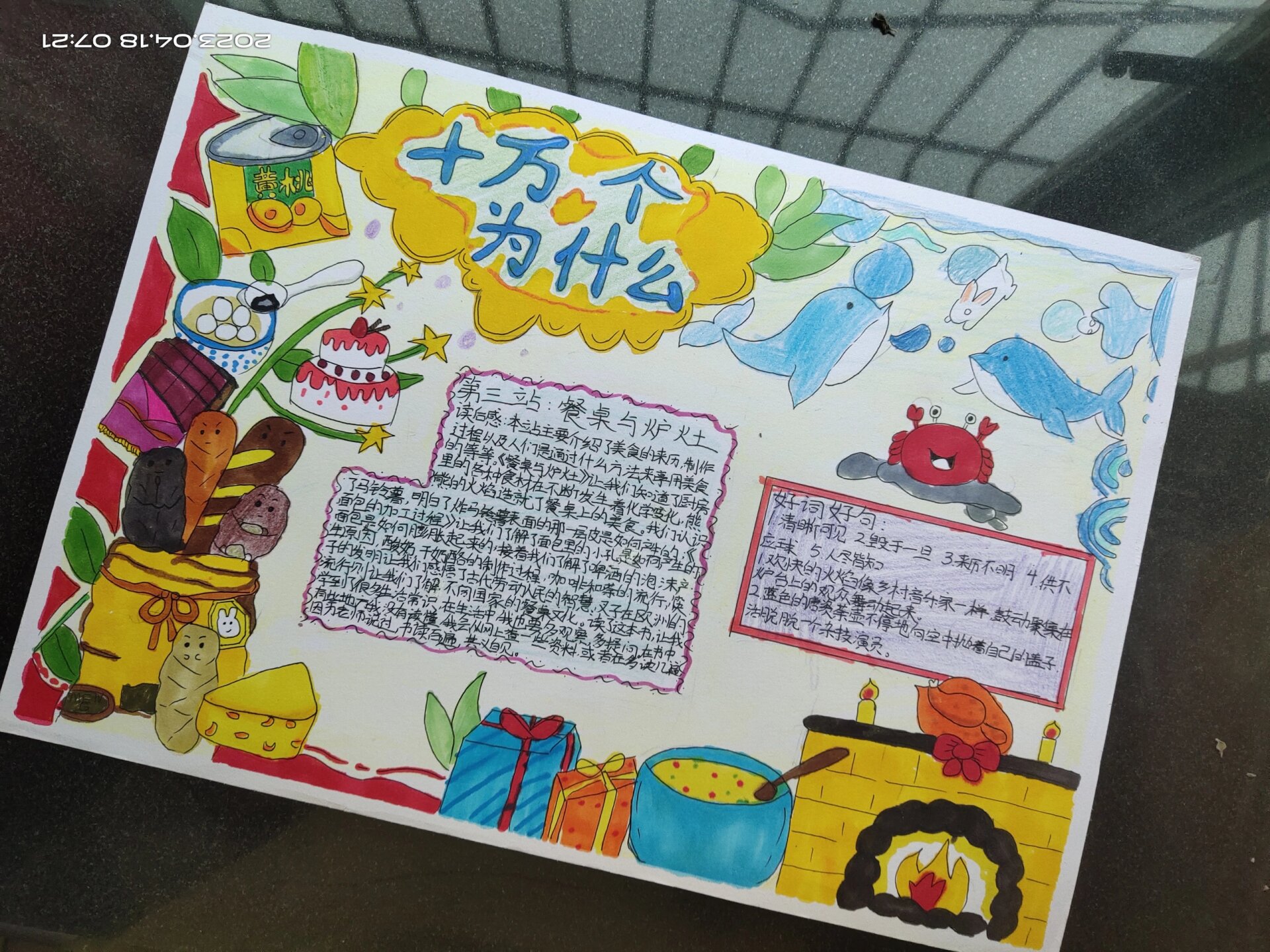 十万个为什么主要内容是什么