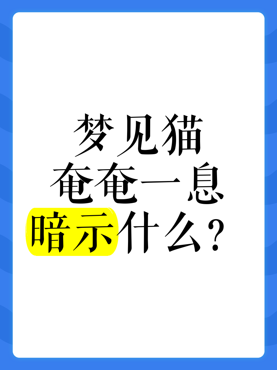 2025年11月3日 第2页