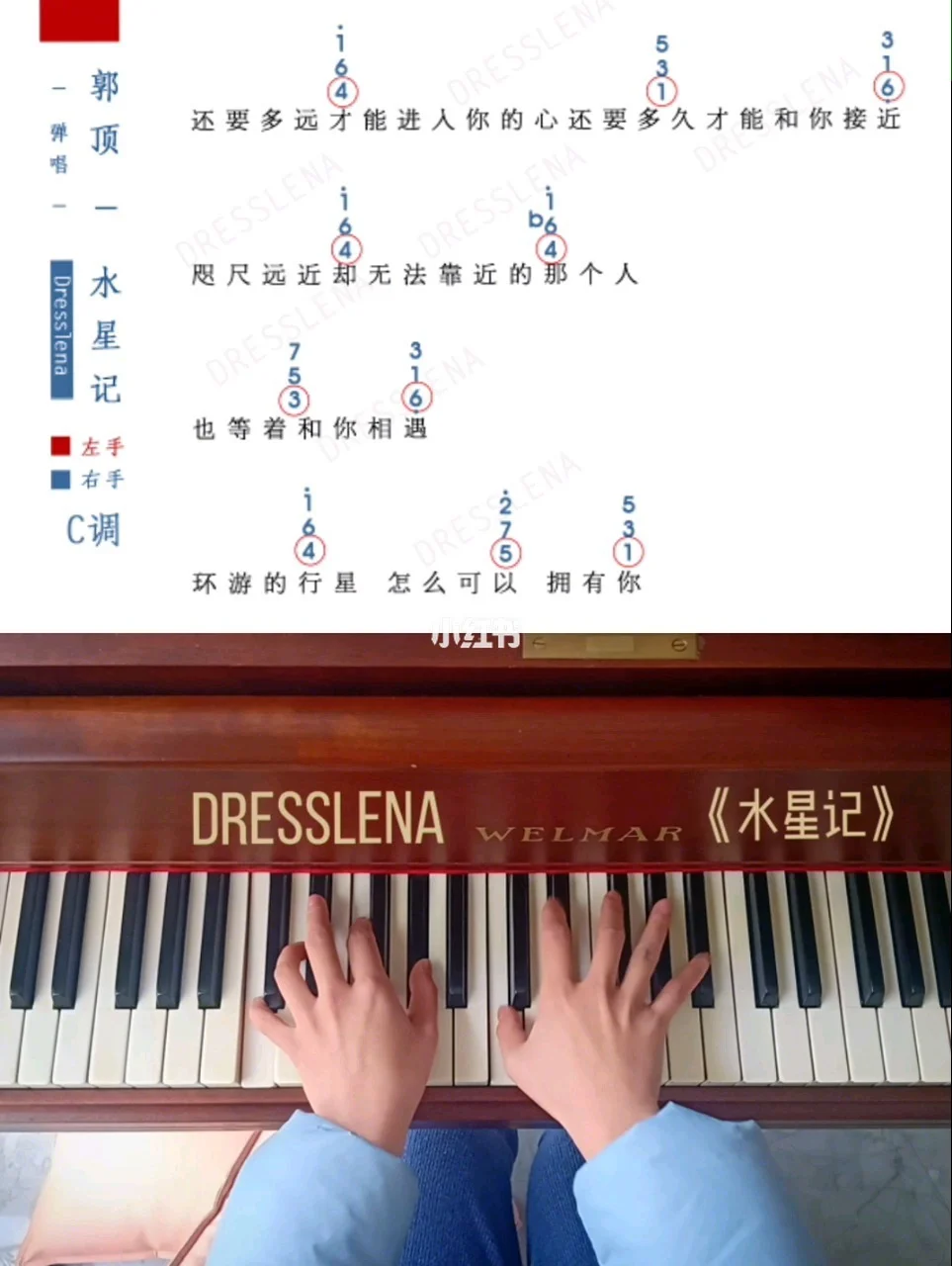 蚂蚁牙黑歌词的歌名叫什么