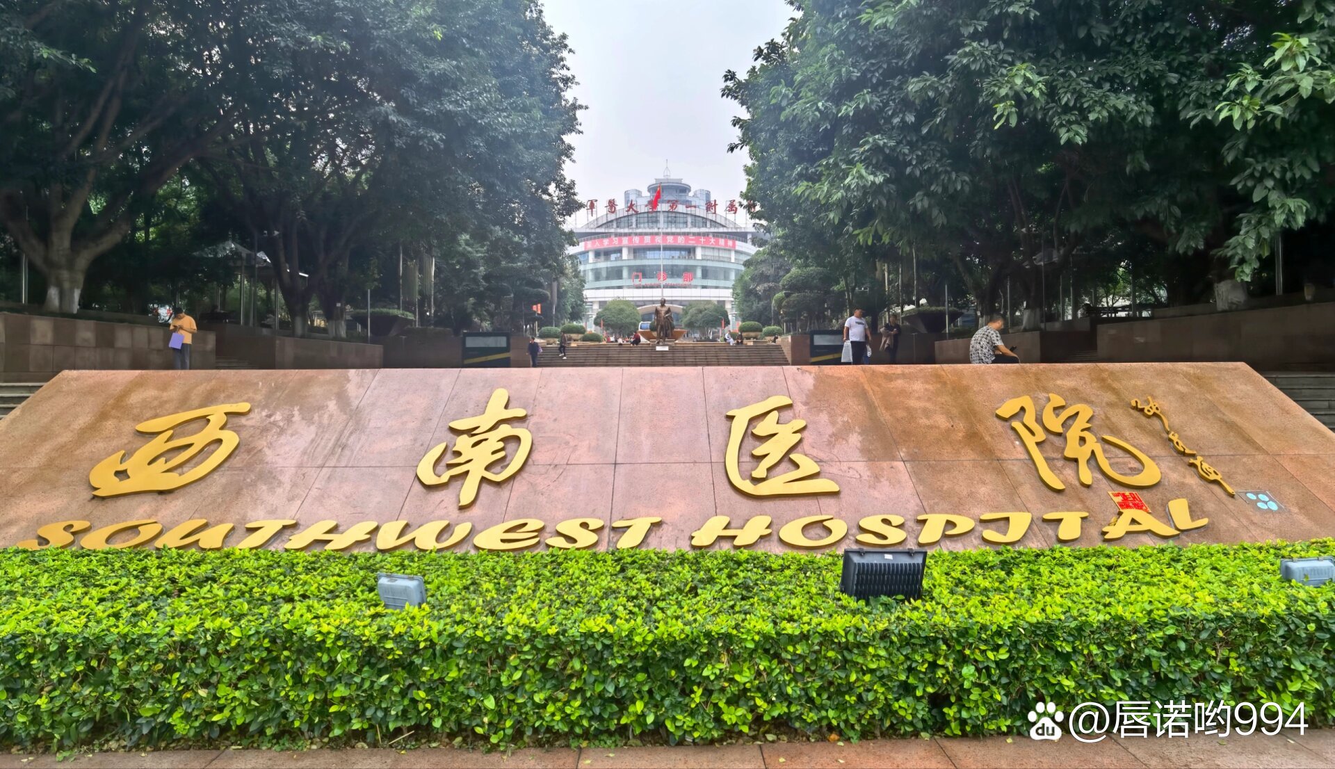 西南儿童医院是公立还是私立