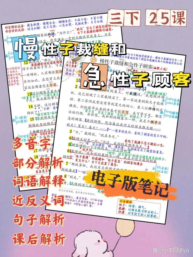 慢性子裁缝和急性子顾客的主要内容