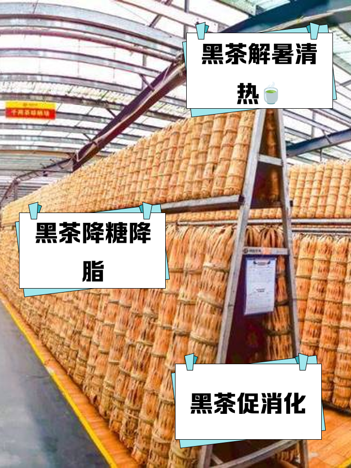 华莱健黑茶直销到底合法吗