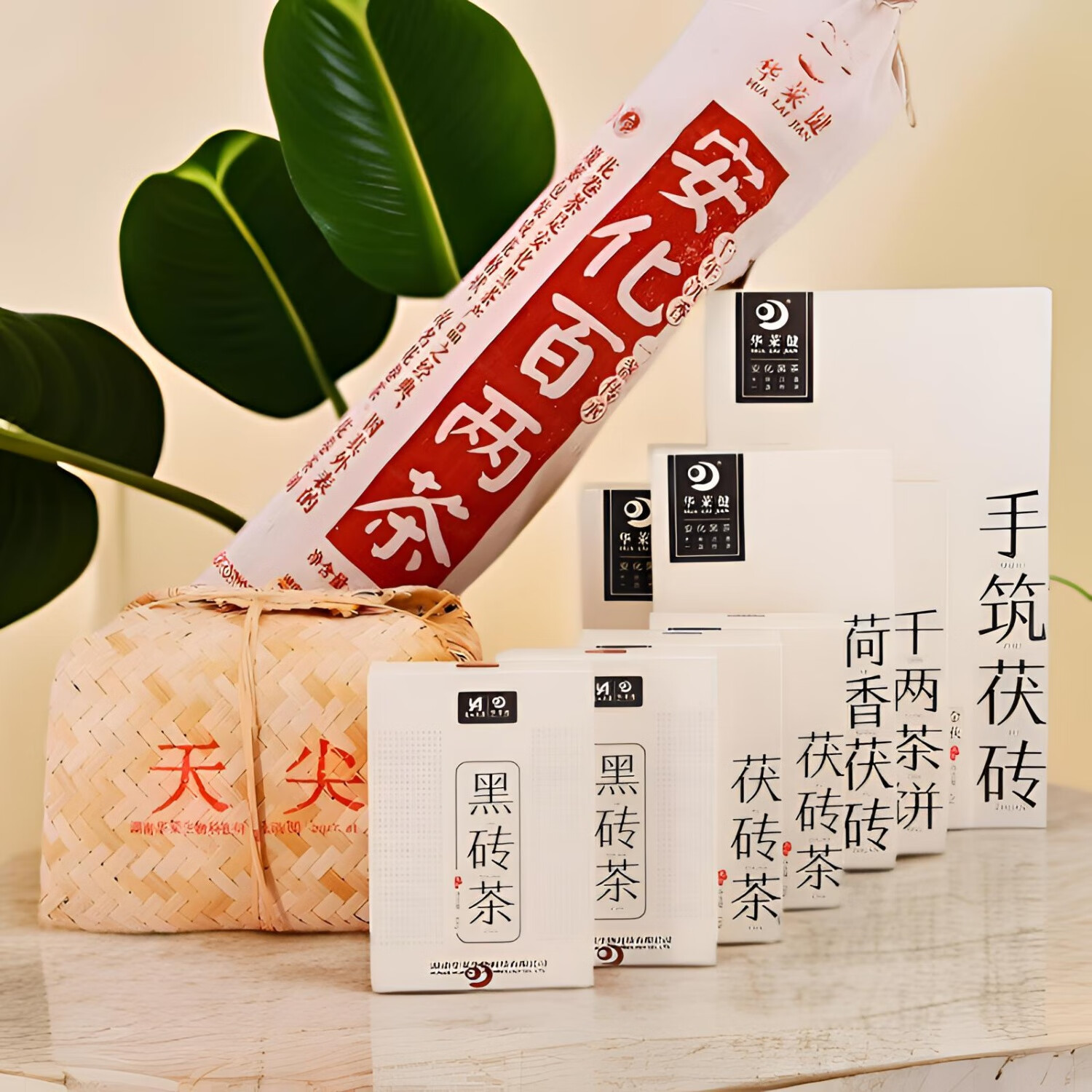 华莱健黑茶直销到底合法吗