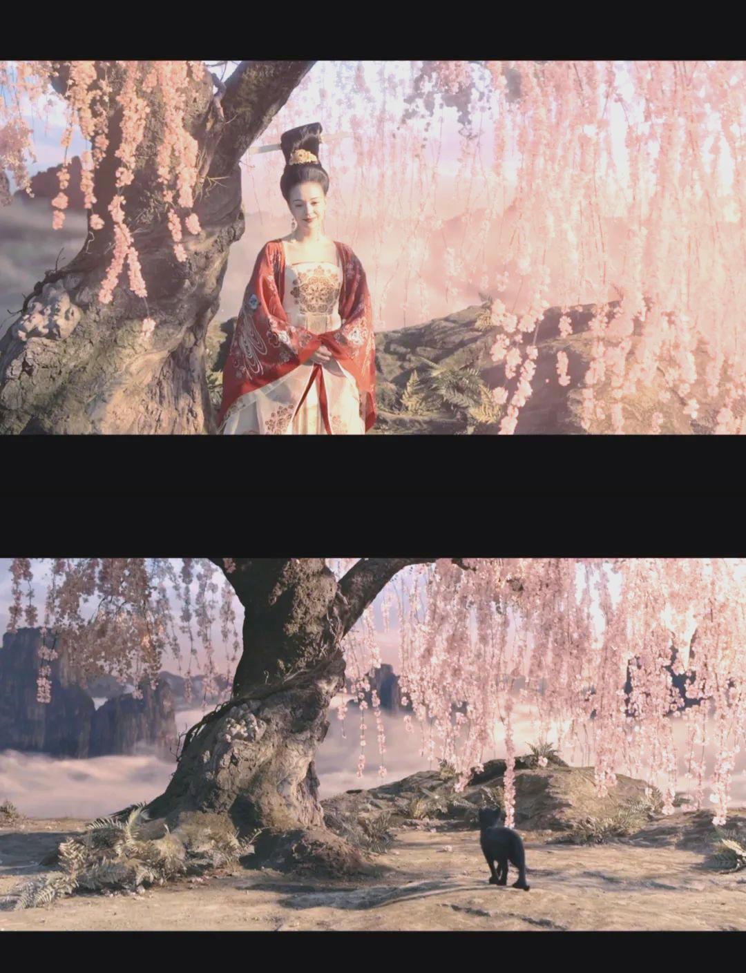 妖猫传历史真相是什么