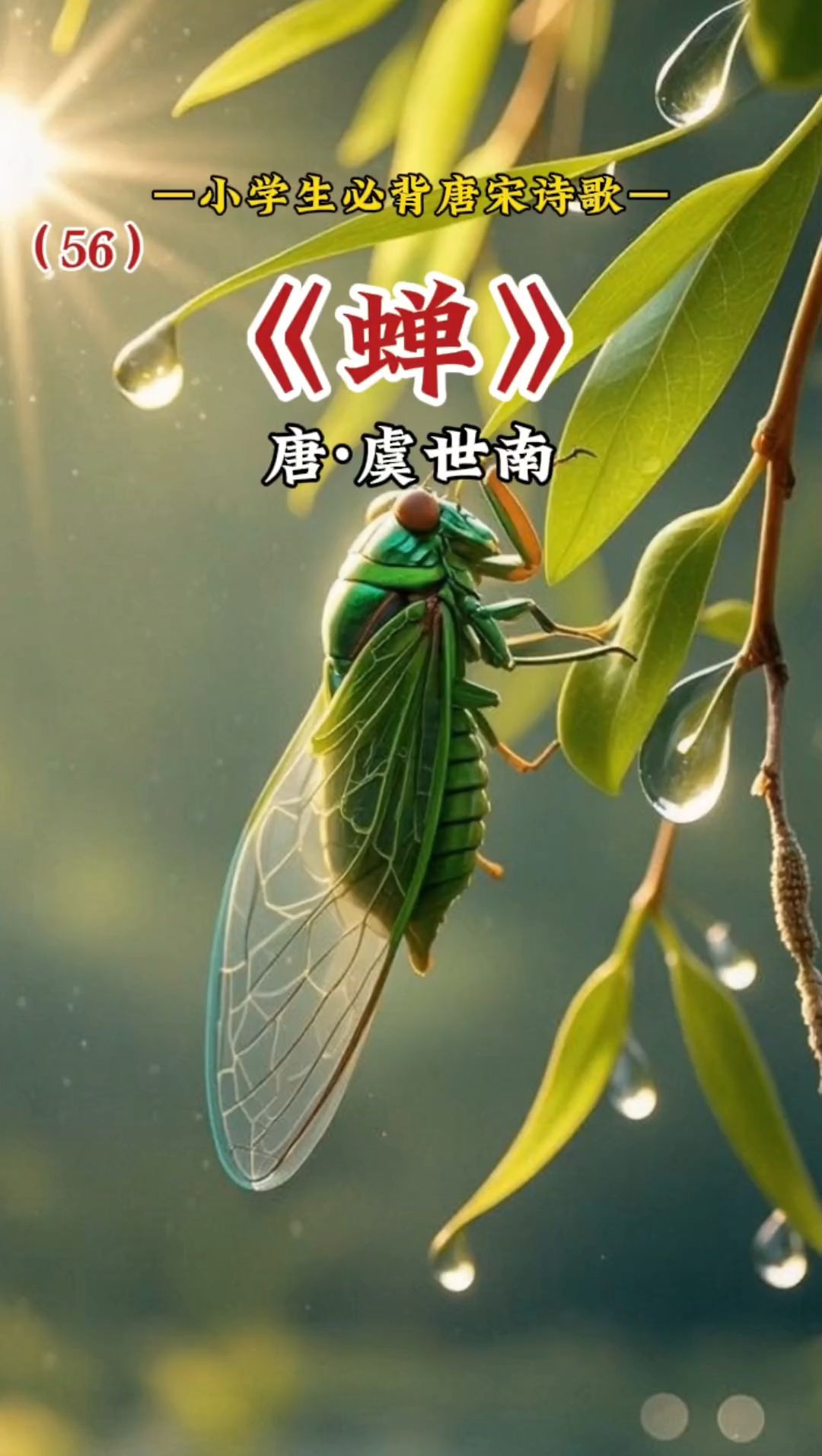 蝉飞到家里有什么寓意