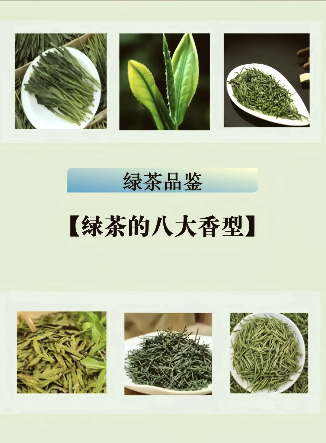 什么是绿茶绿茶介绍