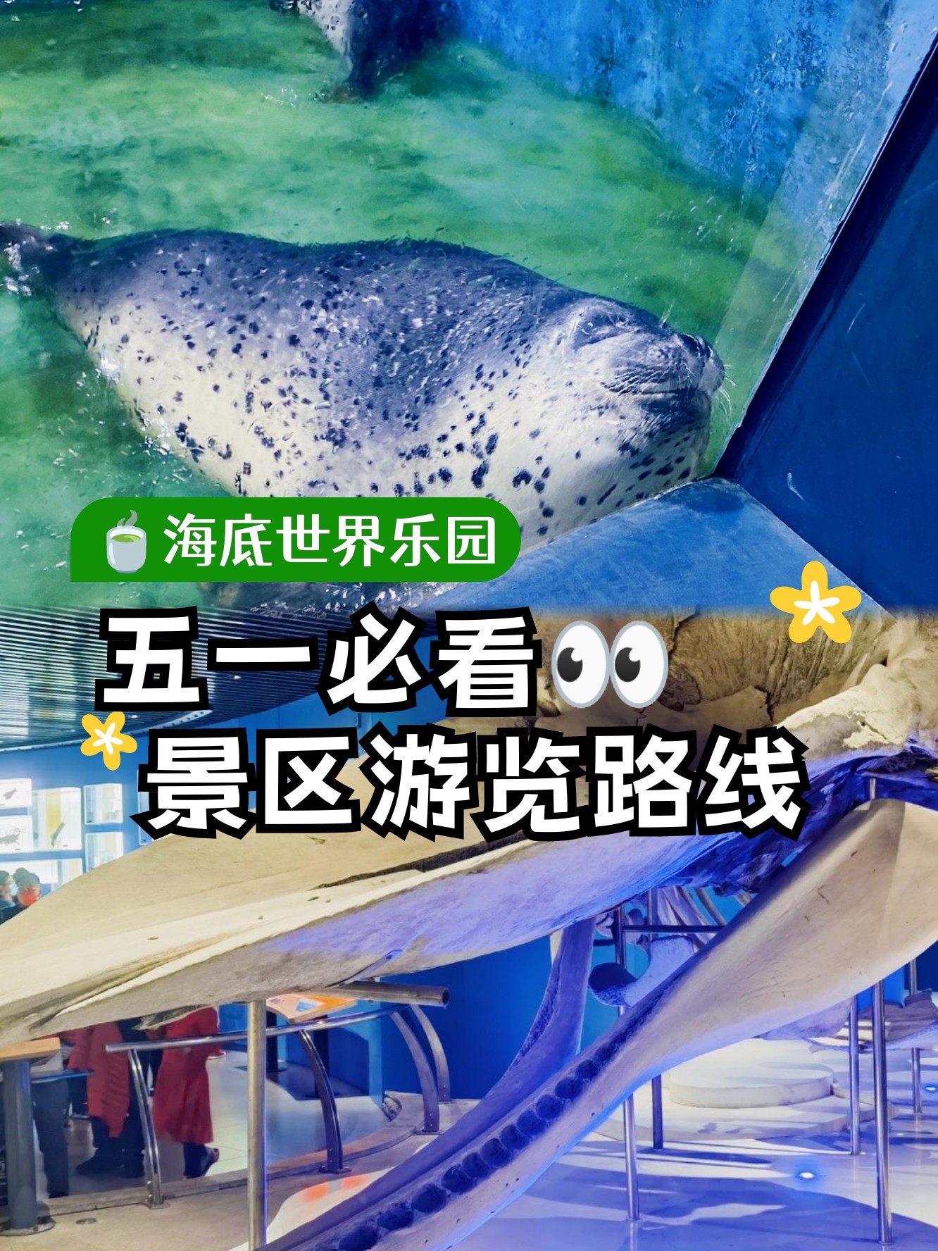 青岛海底世界游览时间。