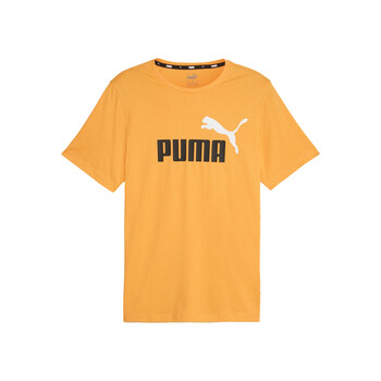 彪马怎么读怎么读彪马