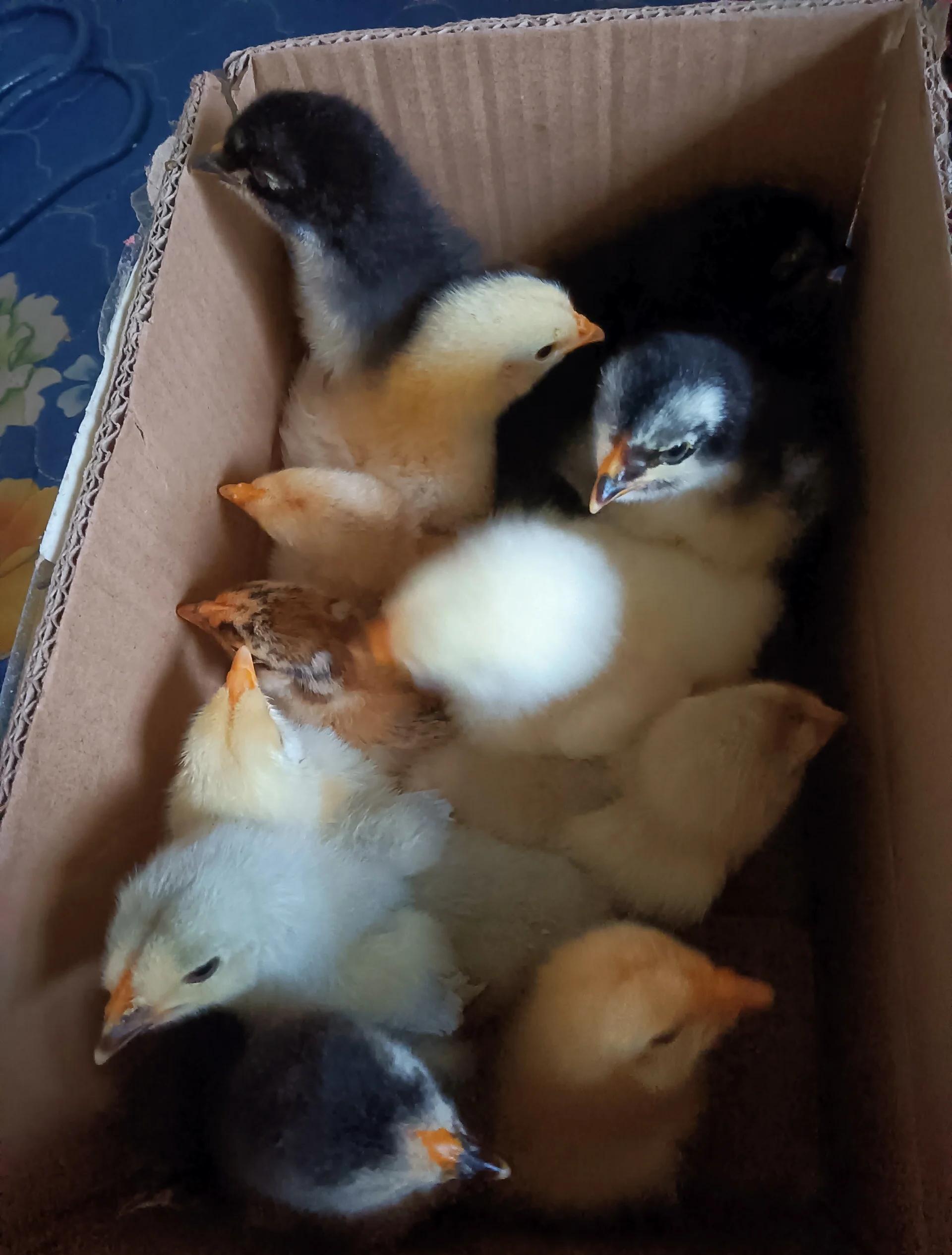 2025年11月11日 第4页