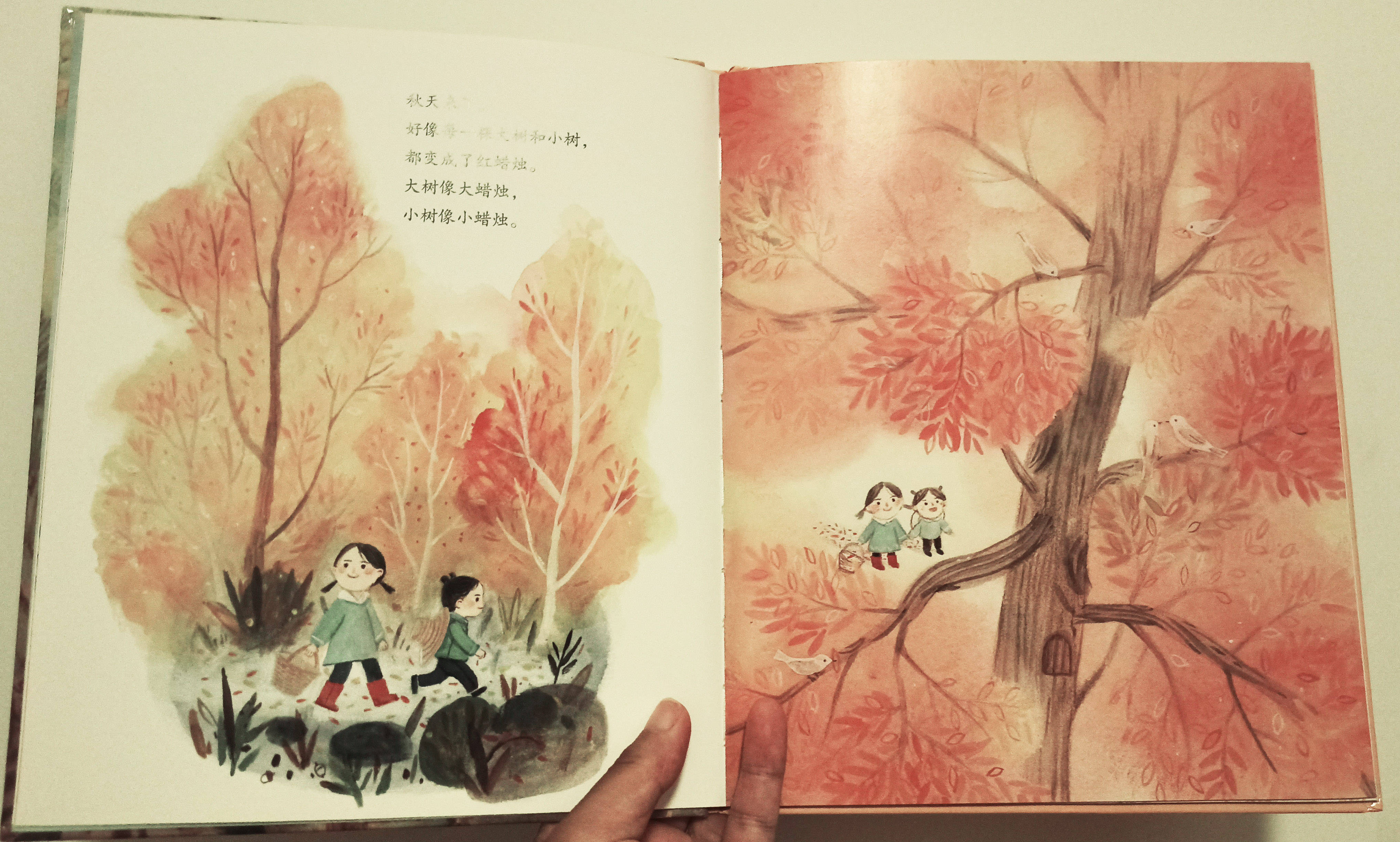 又是一年秋风刮是什么歌