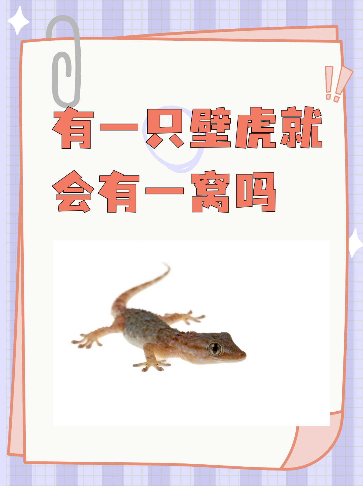 壁虎的尾巴有什么作用