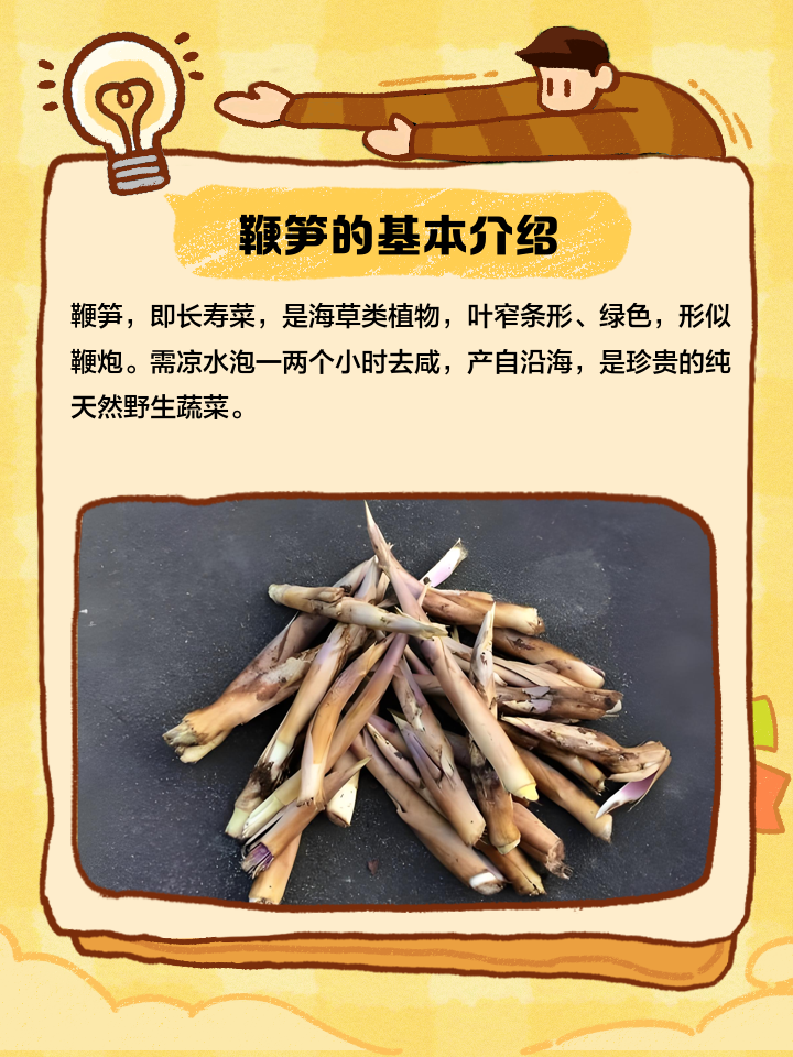 挖笋技巧与方法（老经验）
