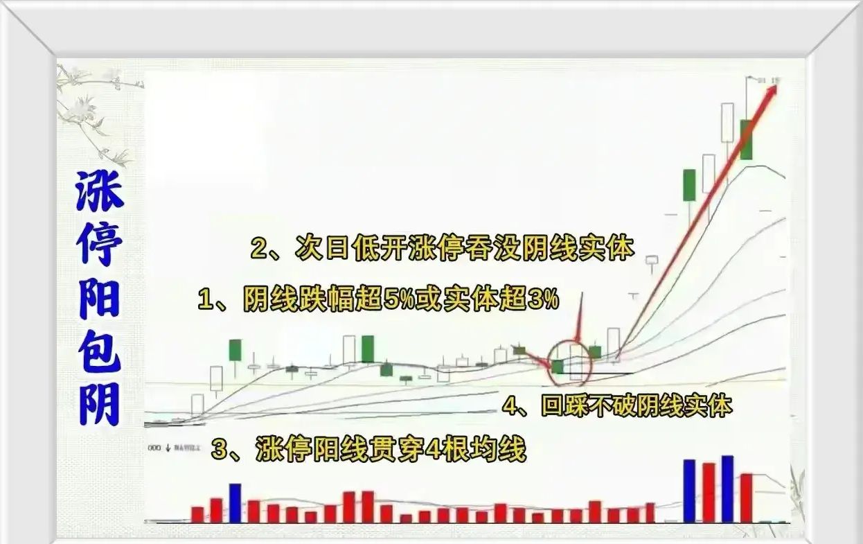 新股交易中的关键时刻:临时停牌详解与速览