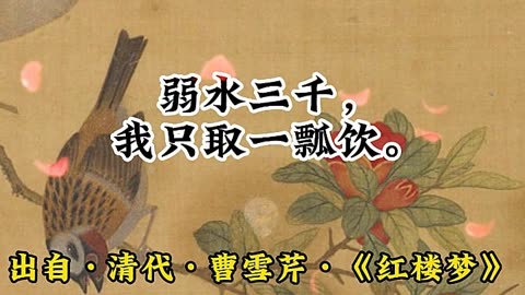 弱水三千取一瓢饮是什么意思