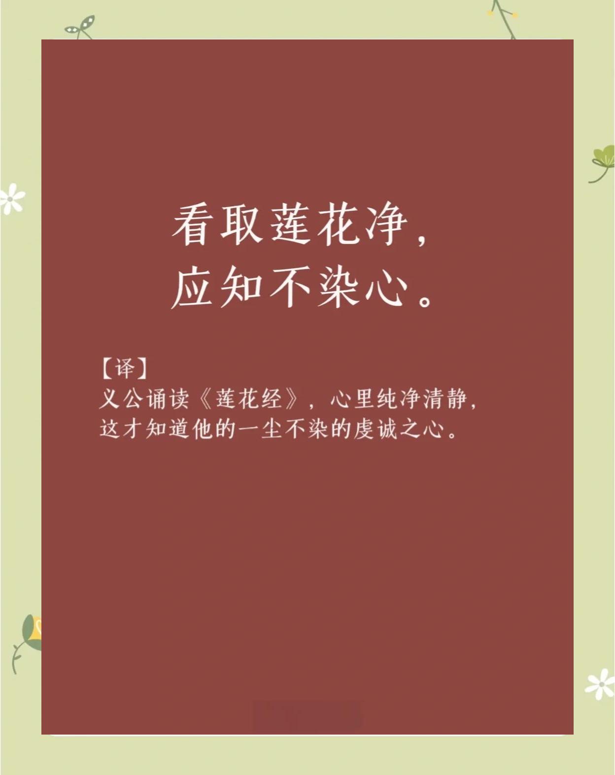 说一个人白莲花是什么意思