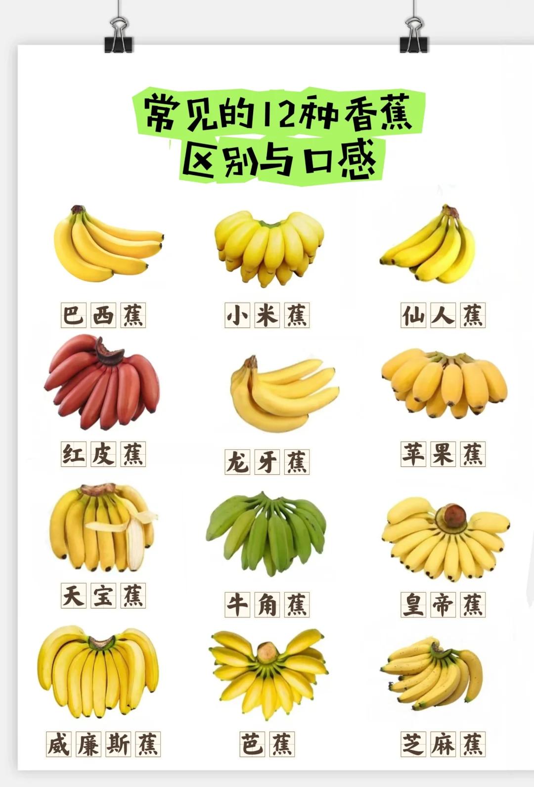 减肥吃米蕉好还是香蕉移动端