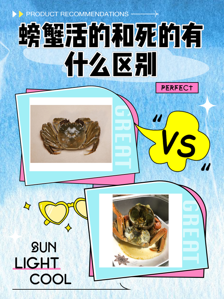 梭子蟹死了多长时间就不能食用了