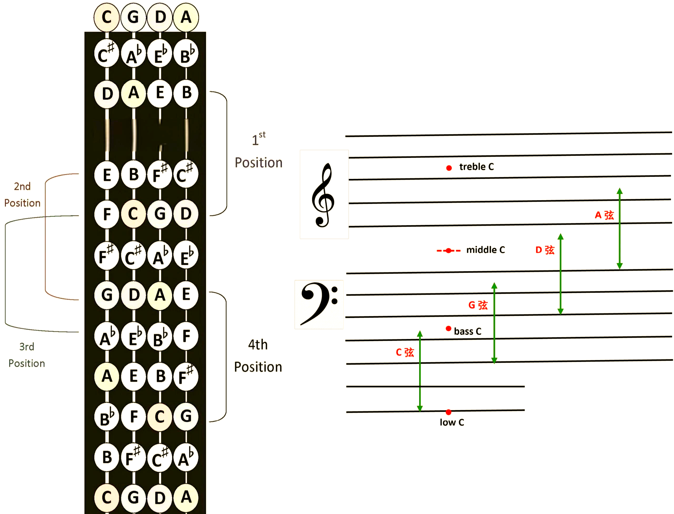 大提琴低音五线谱识谱技巧