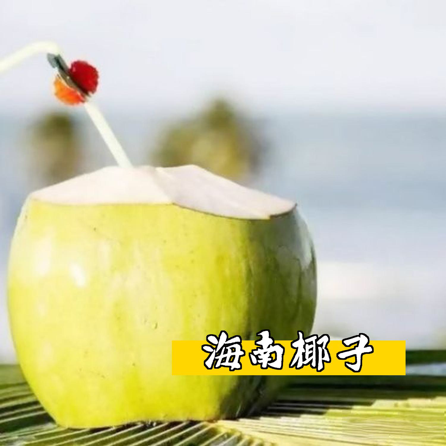 椰子的英语是什么椰子单词怎么读