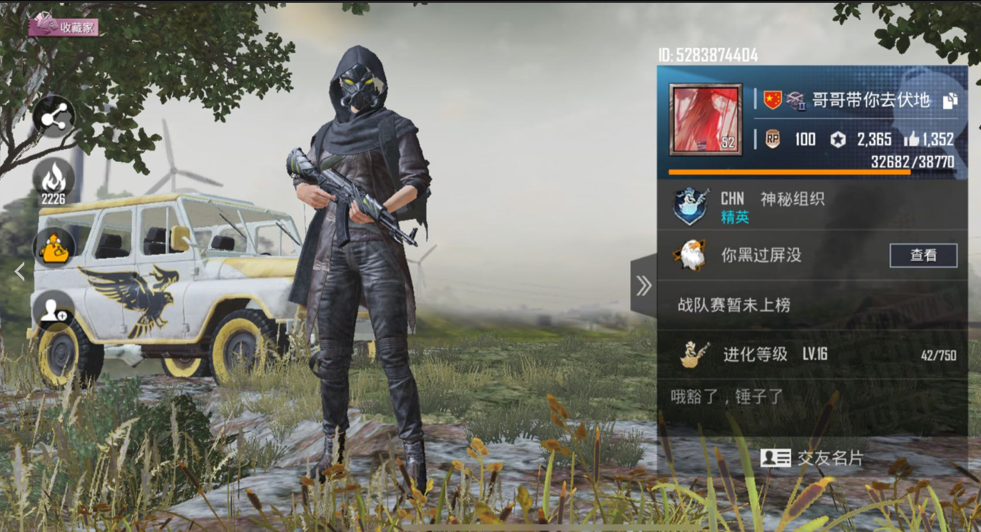 刺激战场国际服打不开怎么回事